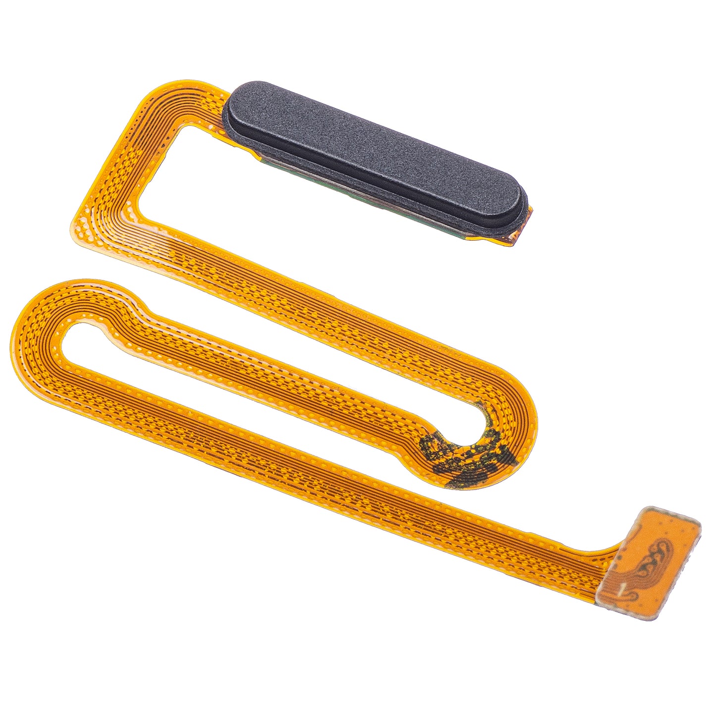 Fingeravtrykksensor Samsung Galaxy A12 Nacho A127 / M12 M127 / A12 A125, med bånd, Svart