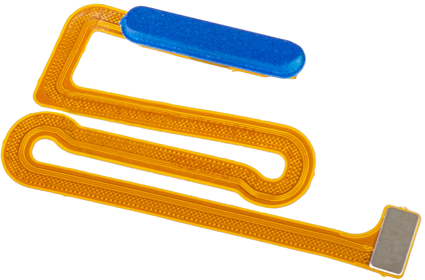 Fingeravtrykksensor Samsung Galaxy A12 Nacho A127 / M12 M127 / A12 A125, med bånd, Blå
