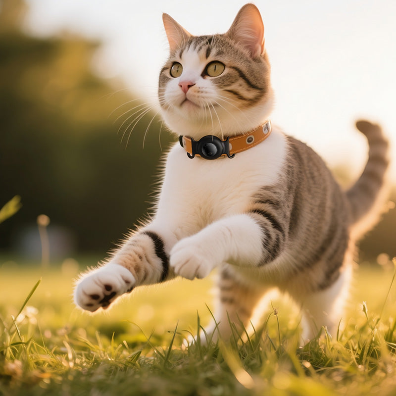 HOCO SmartTag E91C for iOS-serien, Hvit