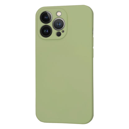 MagSafe-deksel for Apple iPhone 13 Pro, Techsuit, SoftFlex, Matcha