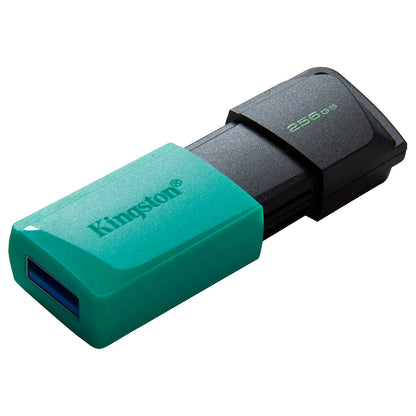 Eksternt minne USB-A 3.2 Kingston DT Exodia M, 256Gb DTXM/256GB