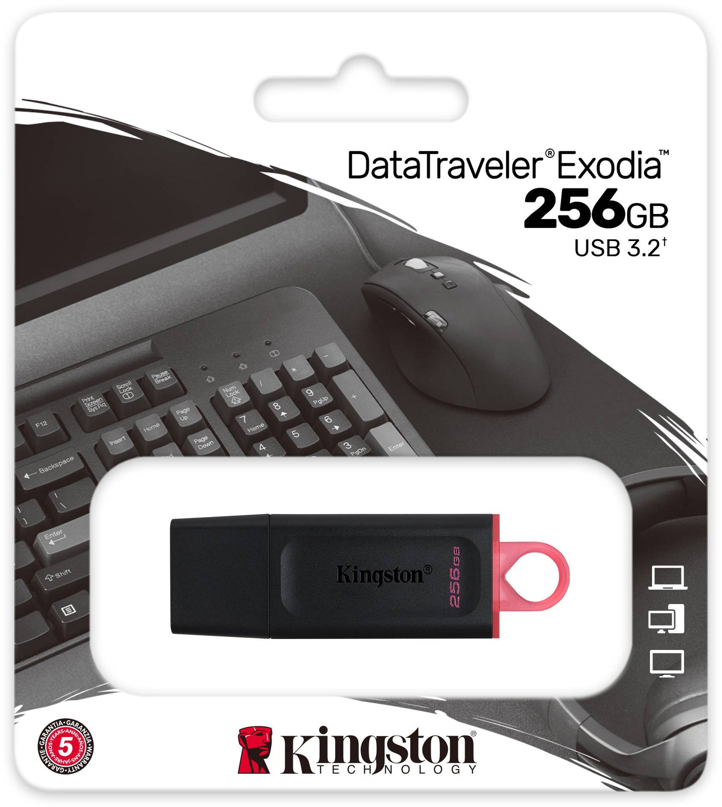 Ekstern Minne USB-A 3.2 Kingston DT Exodia, 256Gb DTX/256GB