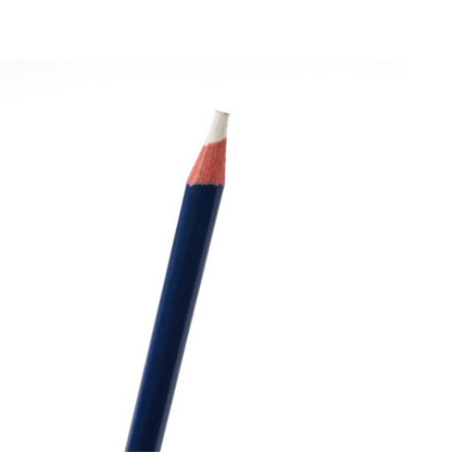 Antistatisk børste Gold Energy Nr.7012 2i1