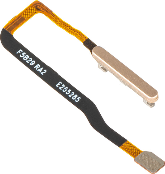 Honor Magic V6 fingeravtrykksensor med bånd, gull, Service Pack 2310AAKT