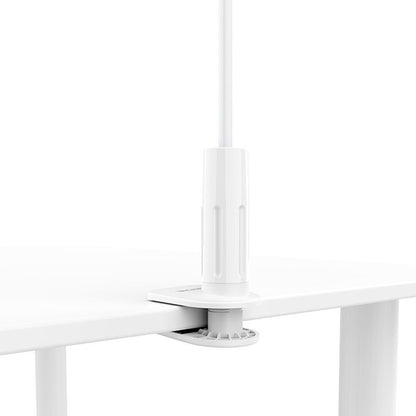 Borofone BH23 Bright Shell Skrivebordsstativ, 4,5 tommer - 6,5 tommer, Hvit