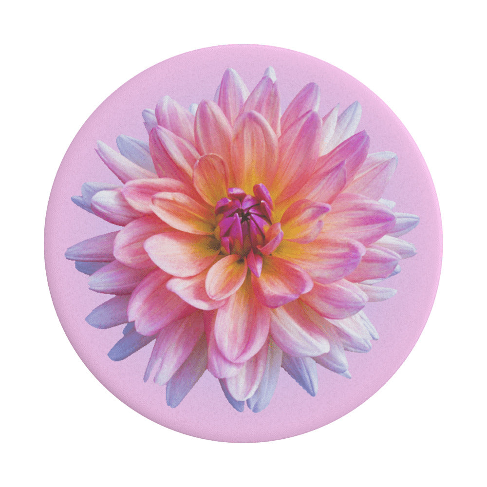 PopGrip Popsockets Dahlia Icon-støtte, Flerfarget