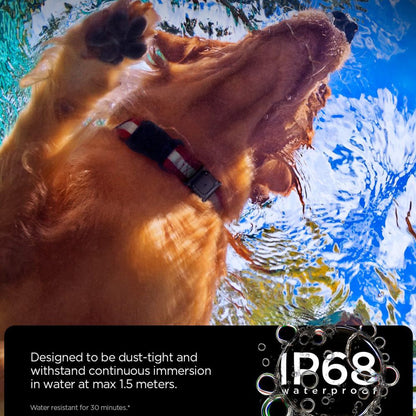 Kjæledyrshalsbånd med Spigen Tough Armor Holder for Apple AirTag, Svart